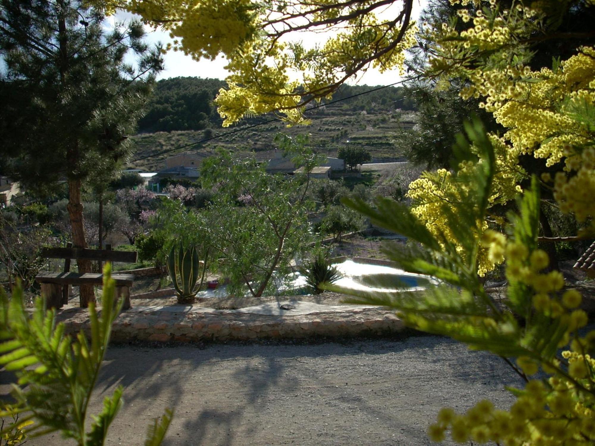 El Mirador De Gebas Casa de hóspedes Alhama de Murcia Exterior foto